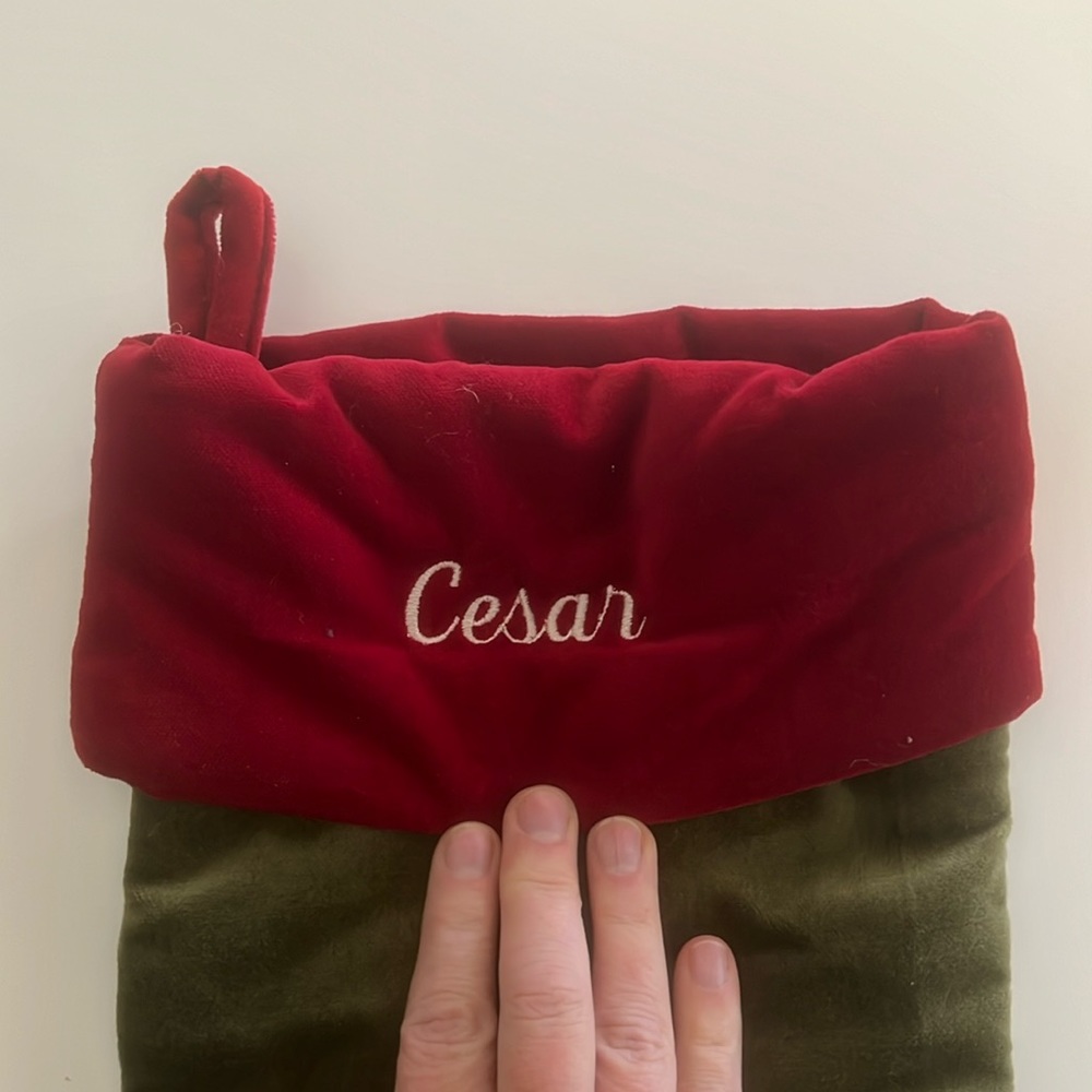 Pottery Barn Christmas stocking with the name Cesar.